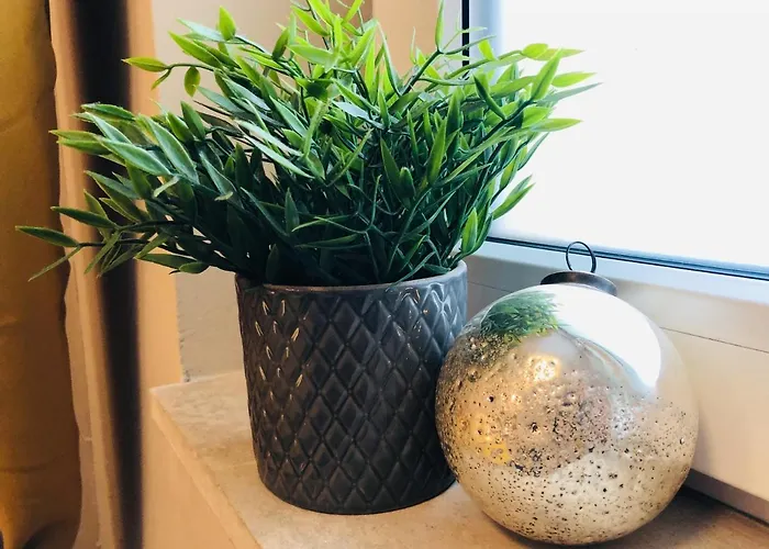 Private Center Opera And Nevski Cathedral