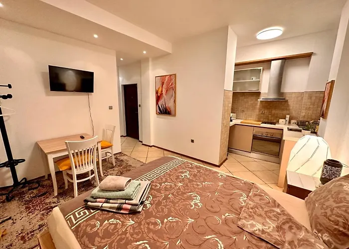 Apartment Private Center Opera And Nevski Cathedral