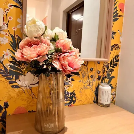 Private Center Opera And Nevski Cathedral